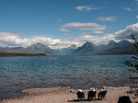 View From Western Tip Of Lake McDonald